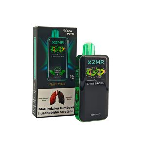 R15 15000puffs Miami Mint Disposable Vape